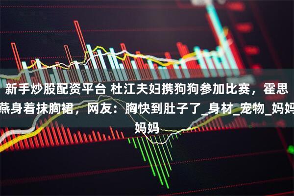 新手炒股配资平台 杜江夫妇携狗狗参加比赛，霍思燕身着抹胸裙，网友：胸快到肚子了_身材_宠物_妈妈